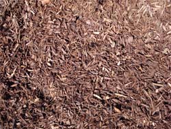 Brown Colored Chips