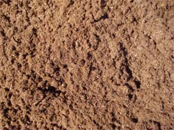 Forest Mulch 