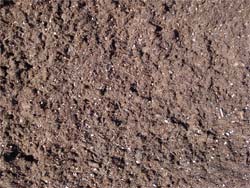 Forest Mulch with Perlite