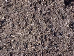 Ground Cover Mix