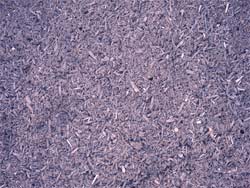 Landscape Compost
