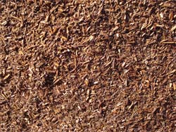 Redwood Chips