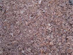 Redwood Shavings