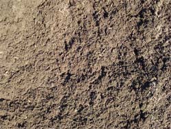 Regular Planter Mix 