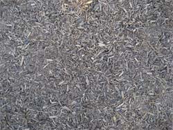 Wood Chips